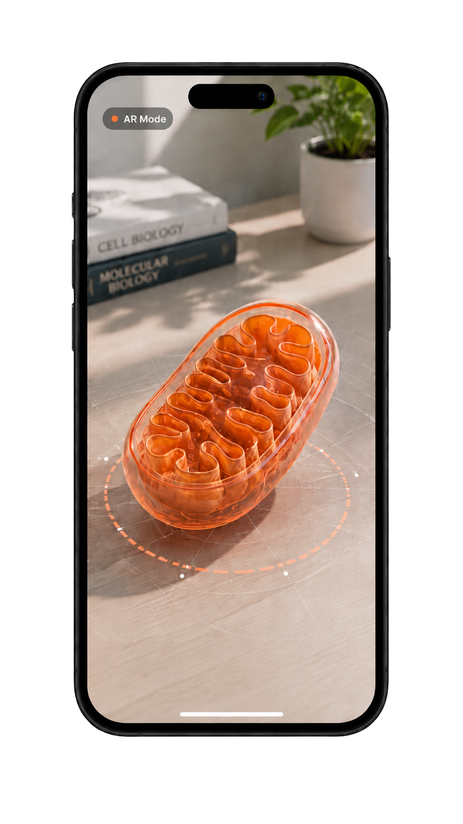 Mitochondria 3D model placed in augmented reality on a desk