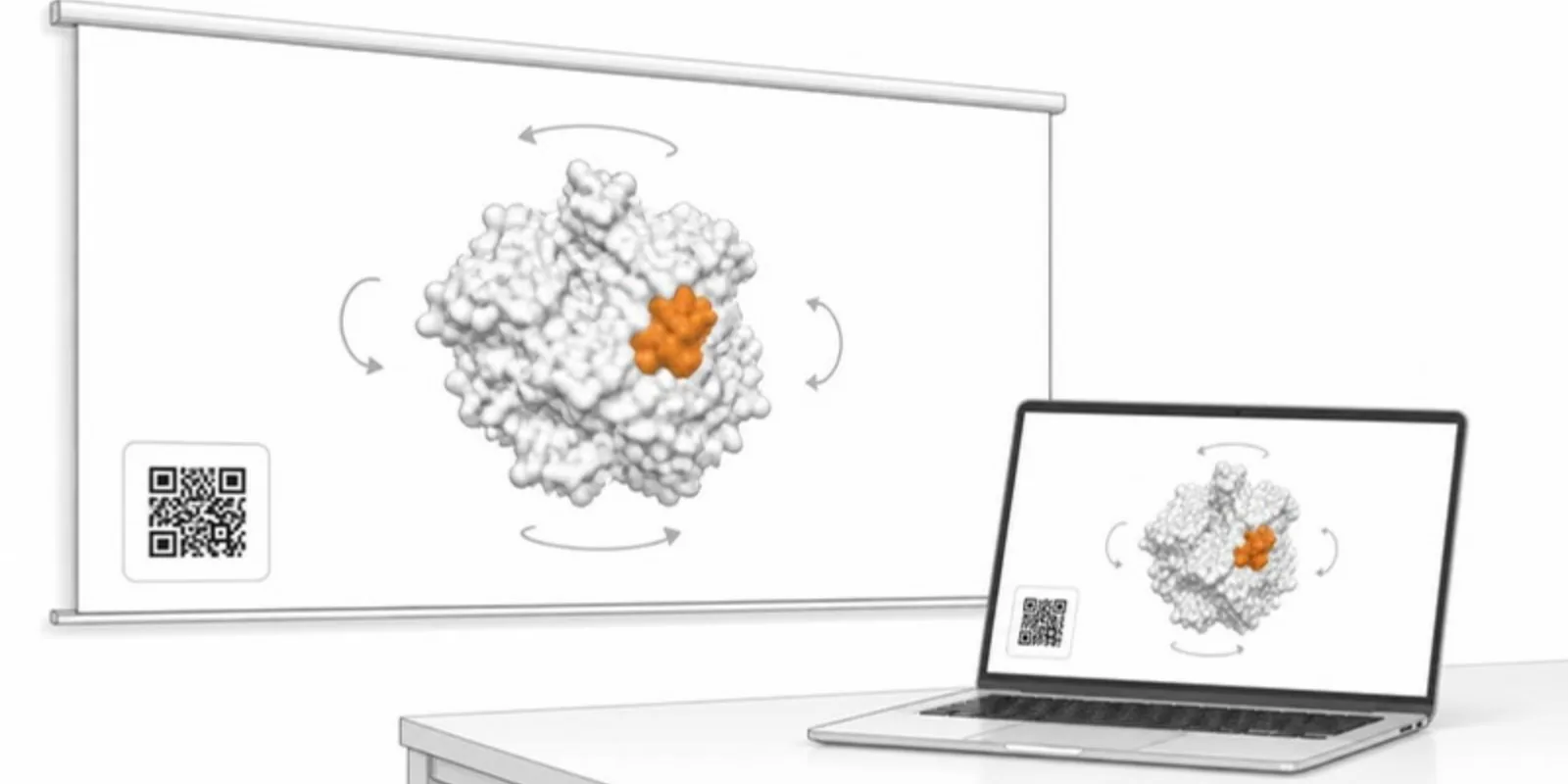 A slide with a 3D molecular model and a QR code, shown on a screen and a laptop