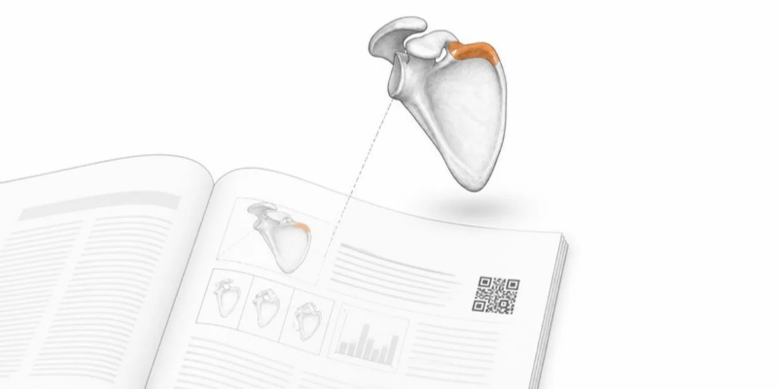 A research article figure lifting off the page as an interactive 3D bone model