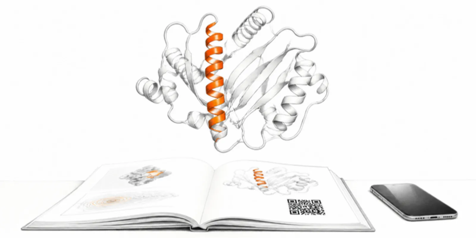 A protein ribbon model floating above a journal page with a QR code and a phone