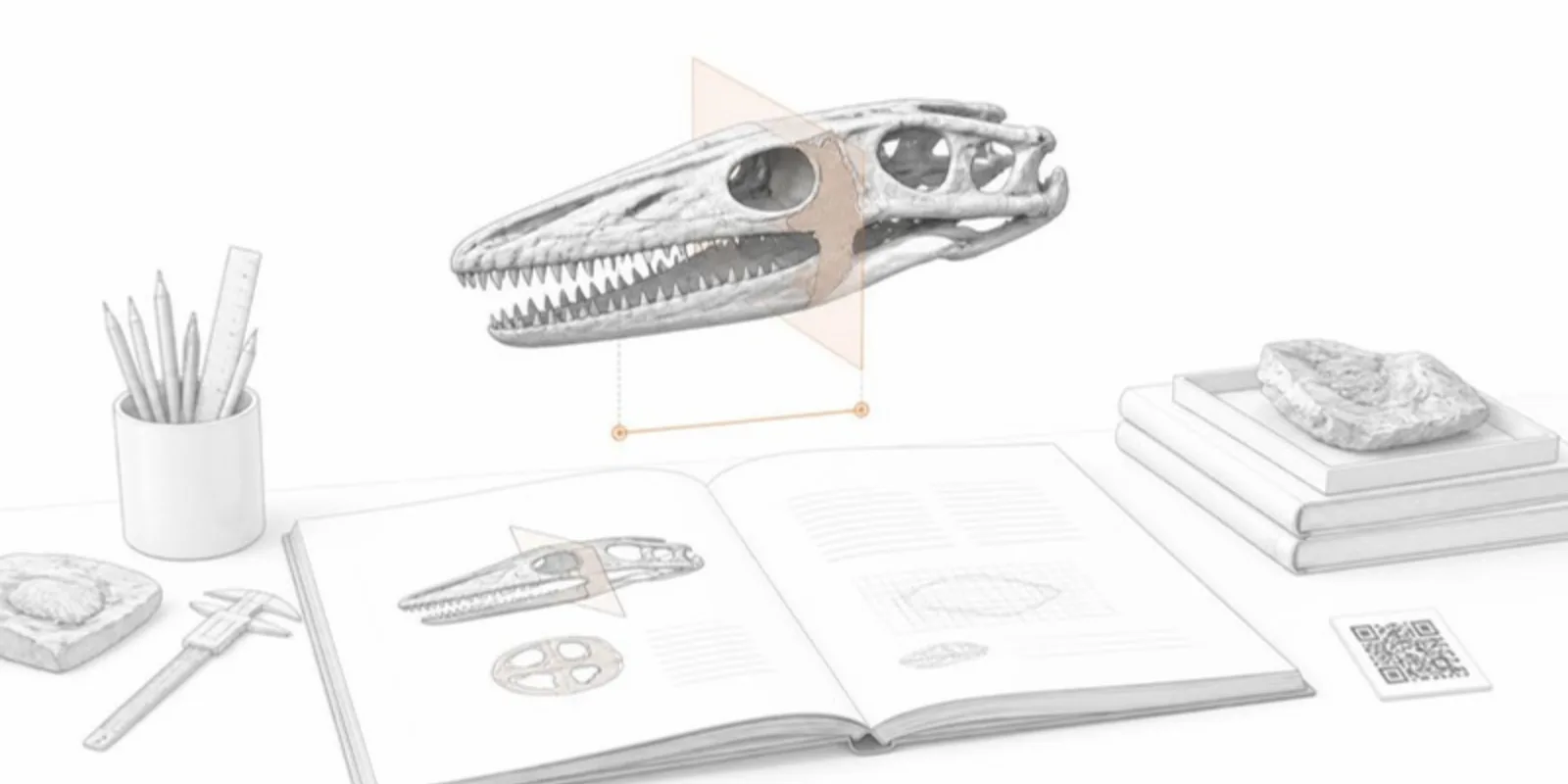A journal page with a QR code and a fossil skull model cut by a section plane