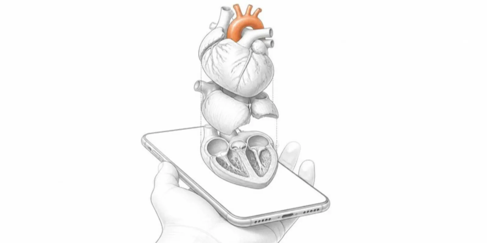 A layered heart model in AR with parts pulled apart