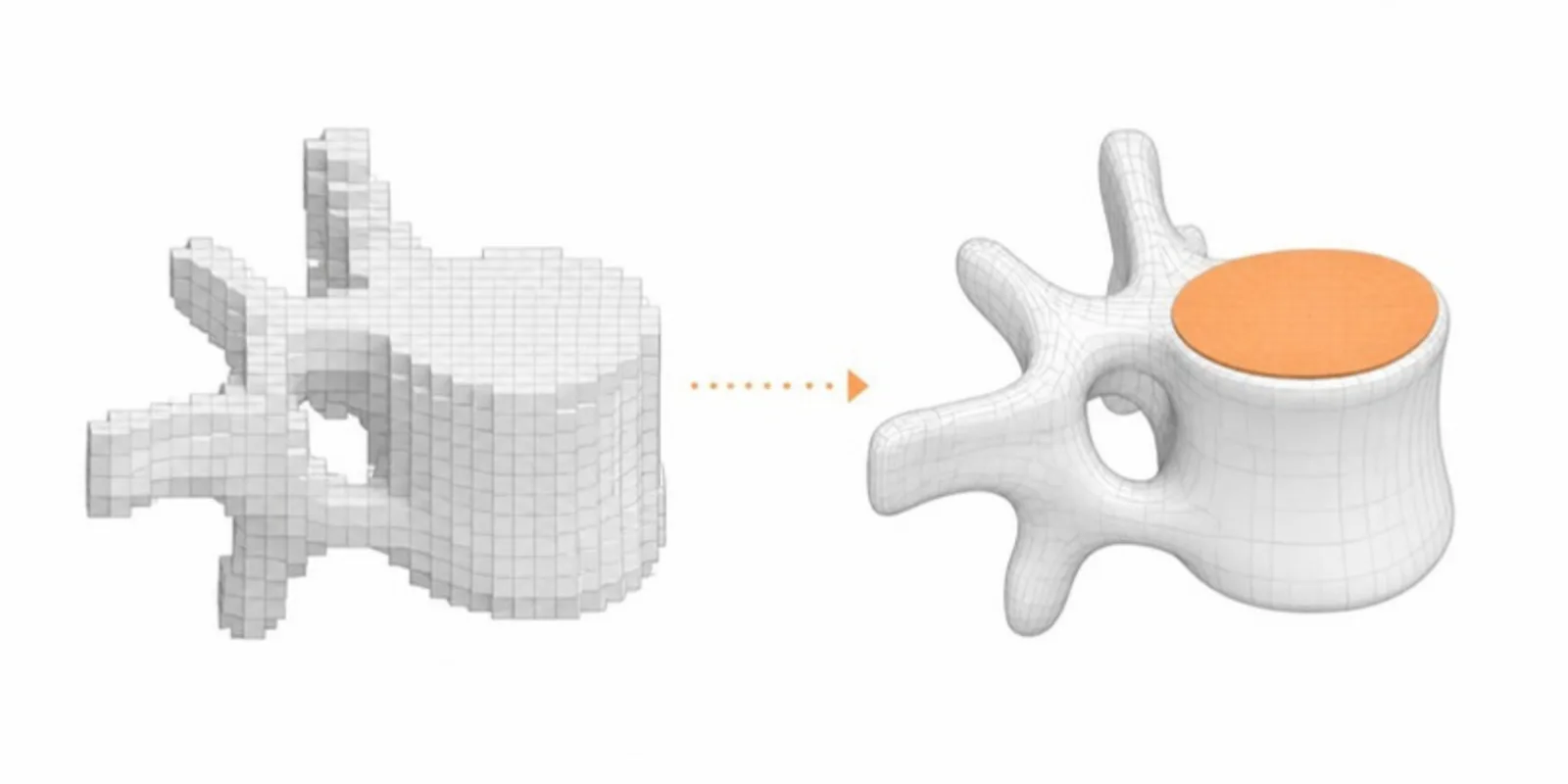 A segmented volume becoming a smooth surface mesh