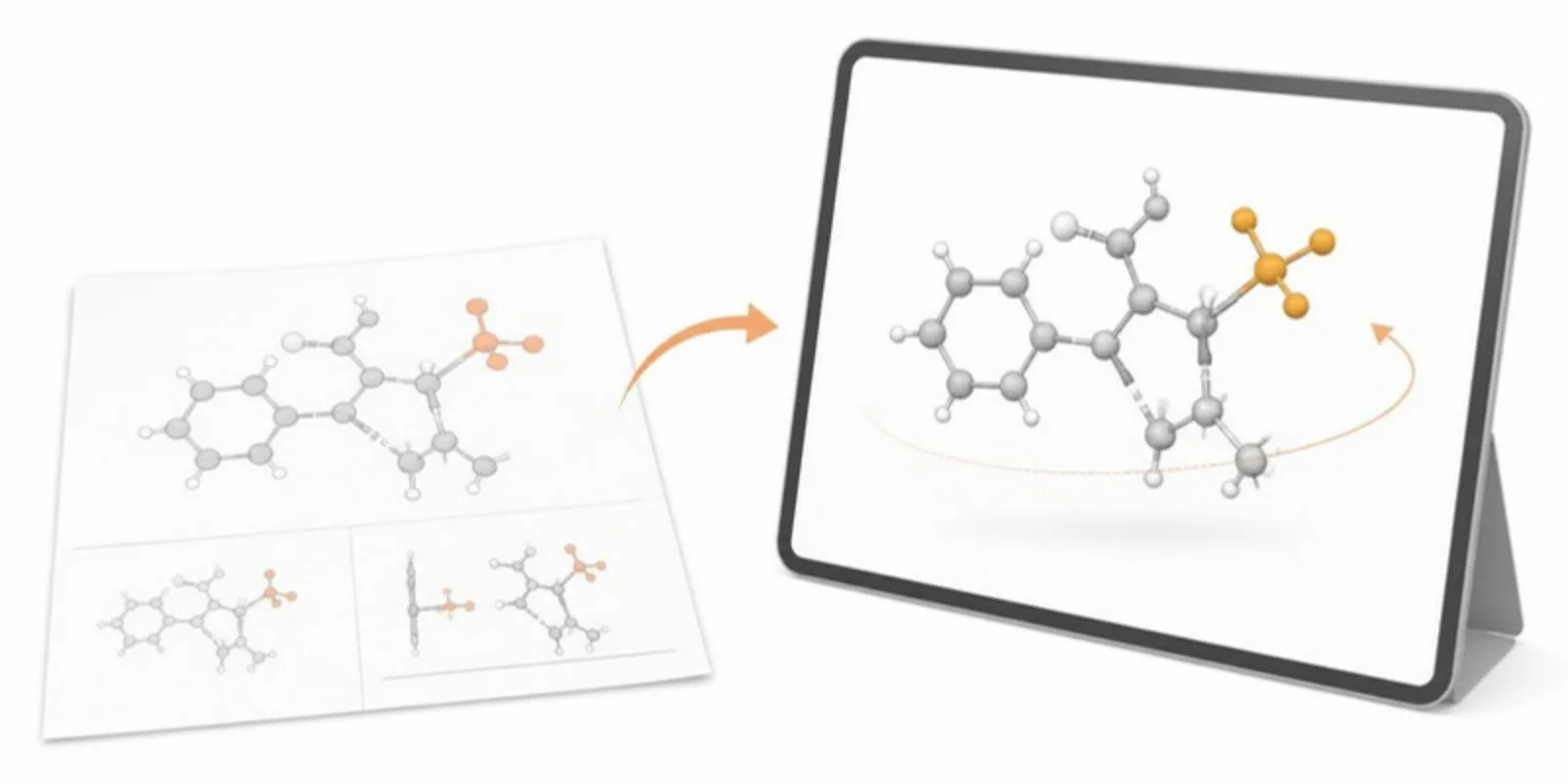 A static paper figure compared with an interactive 3D structure