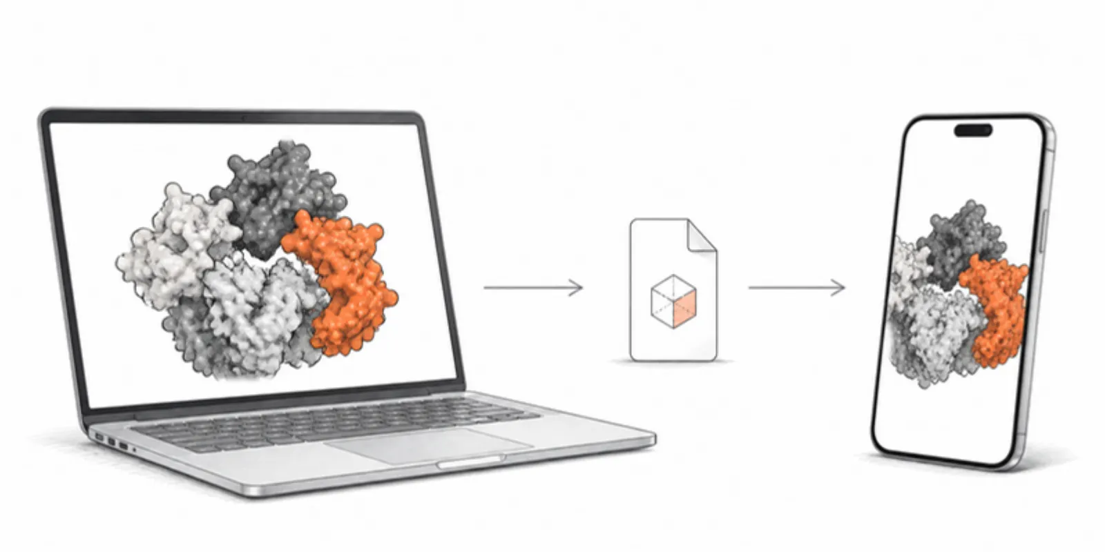 A coloured protein surface exported from a laptop to a file and opened on a phone