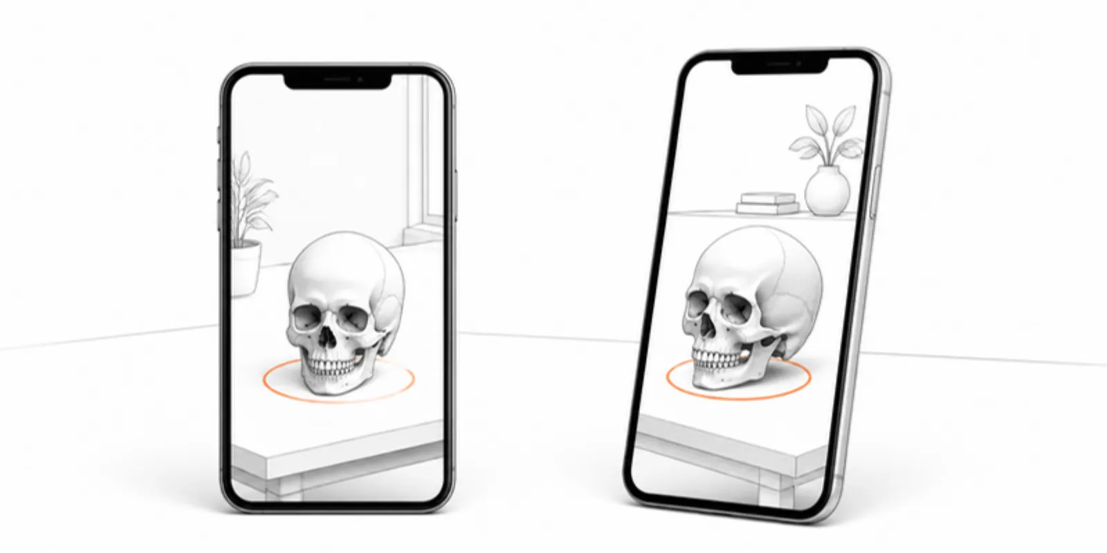 The same skull model placed in AR on an iPhone and an Android phone
