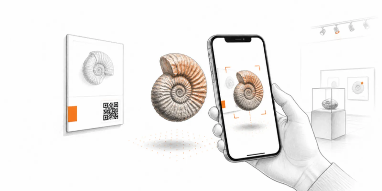 Scanning a museum label QR code to place a fossil in AR